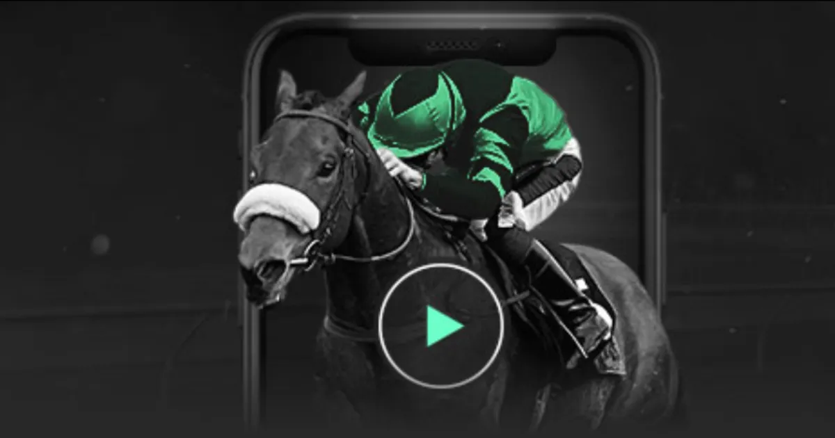 大连英博虽,败犹荣,主场激情点,bet365官网,中文bet365,bet365最新网址